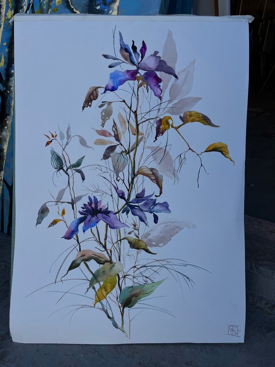 Violet Bloom