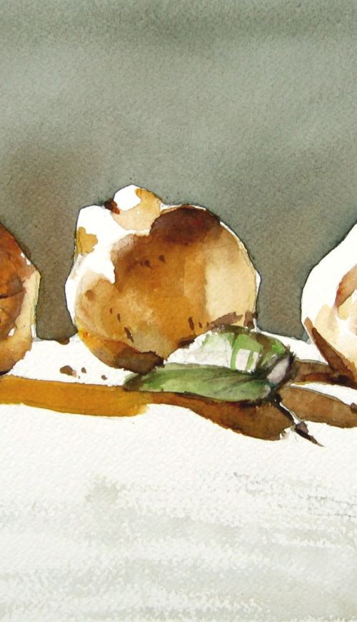 still life with quinces by Goran Žigolić Watercolors