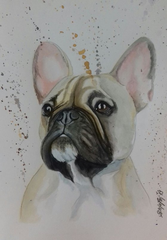 Watercolor Bully