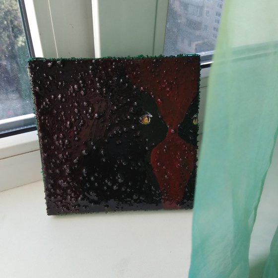 "Cat looking in to the mirror"