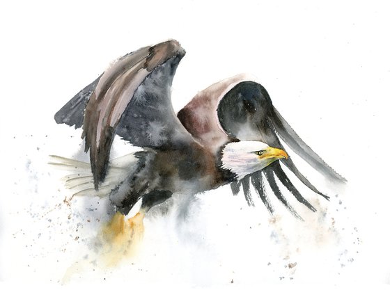 Flying Eagle  -  Original Watercolor Painting by Olga Shefranov