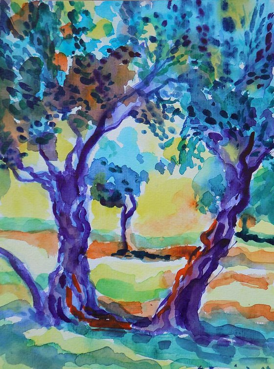 Olive treetops