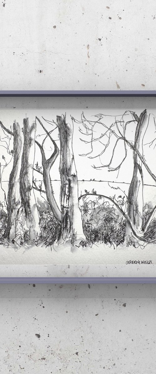 Trees in Pen and Ink - Norfolk Landscape English Countryside by Catherine Winget