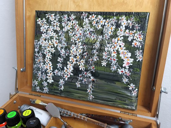 White Cherries 1