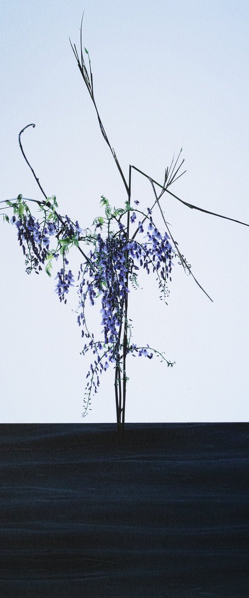 Water Scenery #001-Wisteria flowers, Bamboo- by Keiichiro Muramatsu