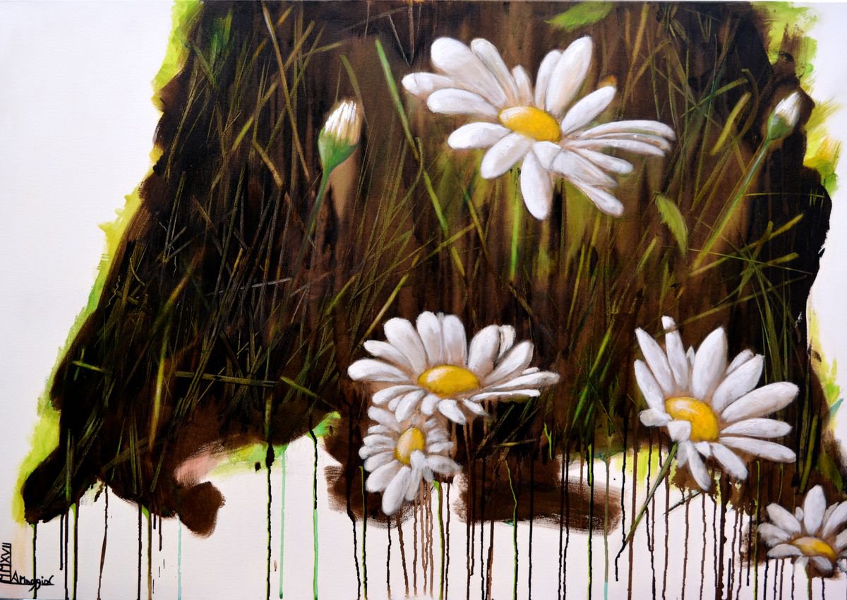 daisies 1 by antonio maggio carluccio