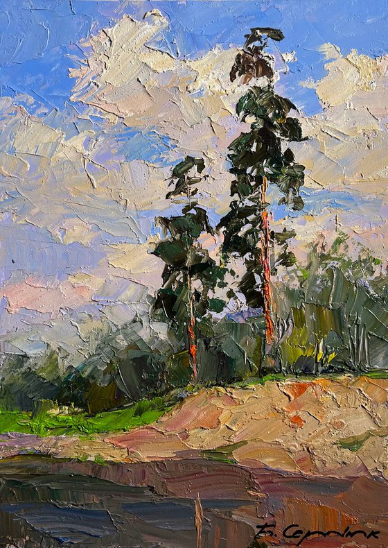 Sand Cliff by the River