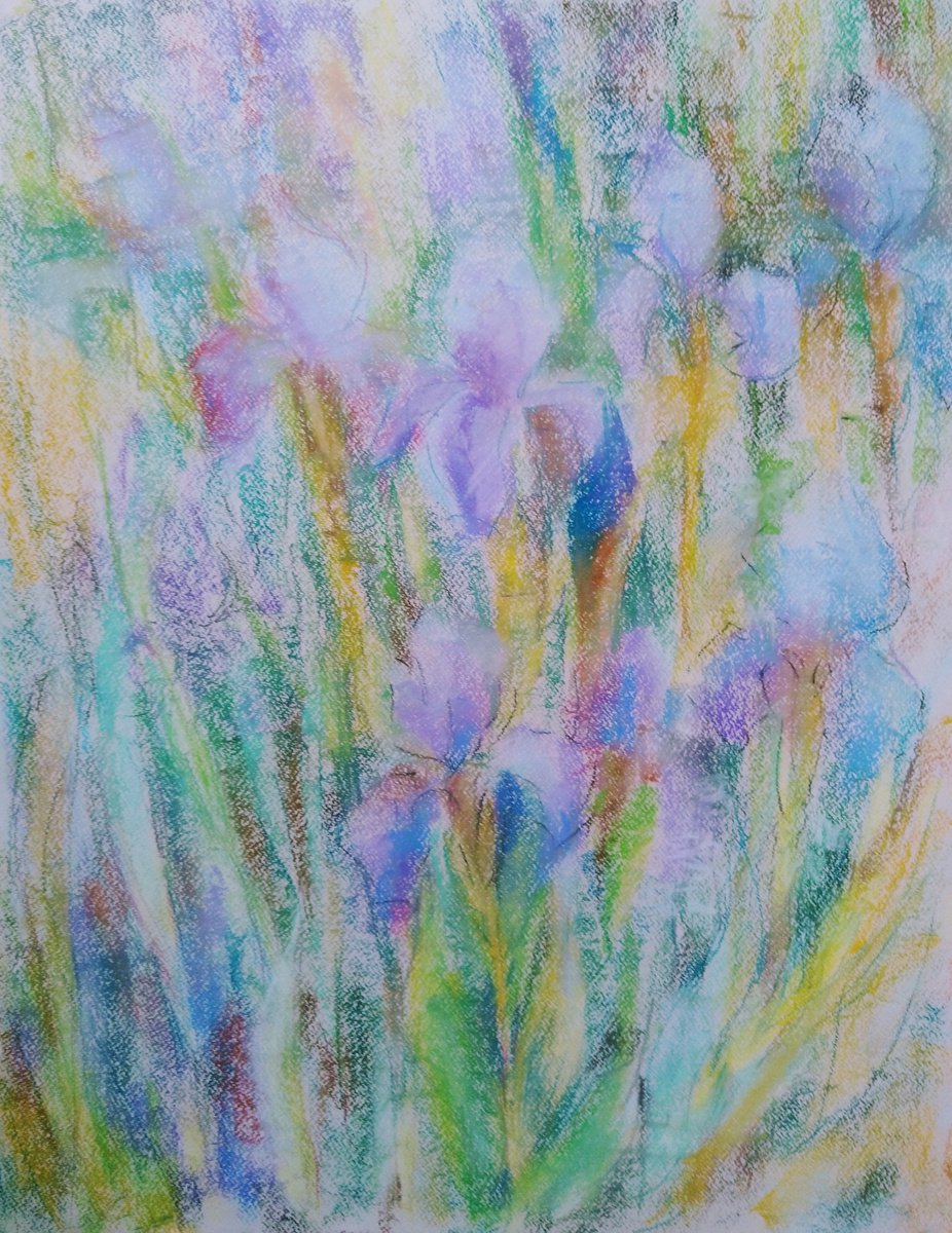 Impressionistic Botanical Pastel Drawing By Elena Klyan, 20 X 26, Irises. 50X65 Cm, Original Artwork