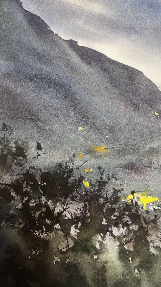 Mountain Valley Lights