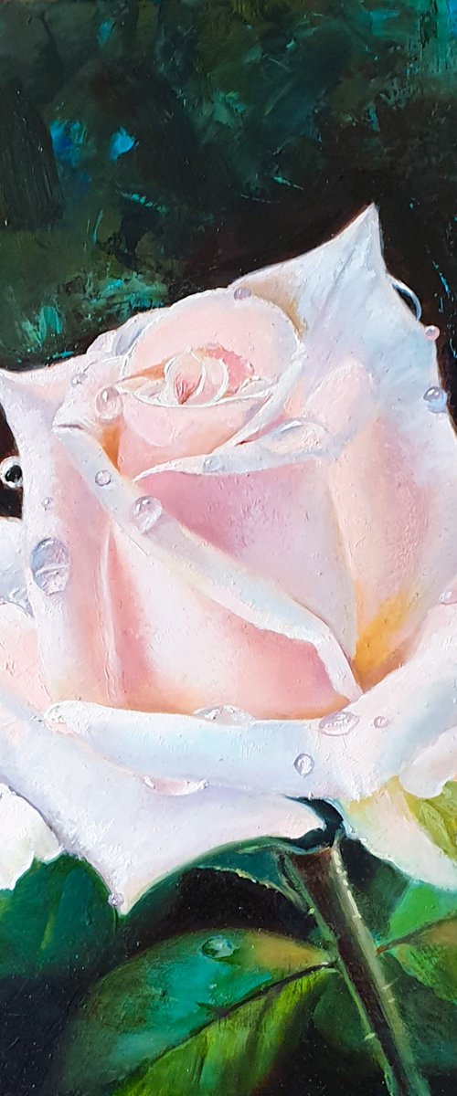 "Tears of a rose."  rose flower  liGHt original painting PALETTE KNIFE  GIFT (2020) by Anna Bessonova (Kotelnik)