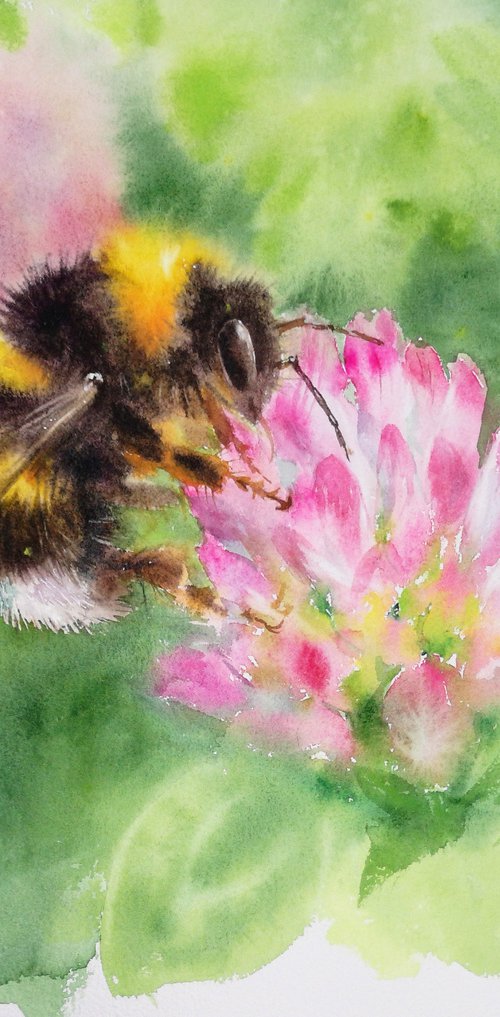 Bumblebee on Clover Watercolou by Olga Beliaeva Watercolour