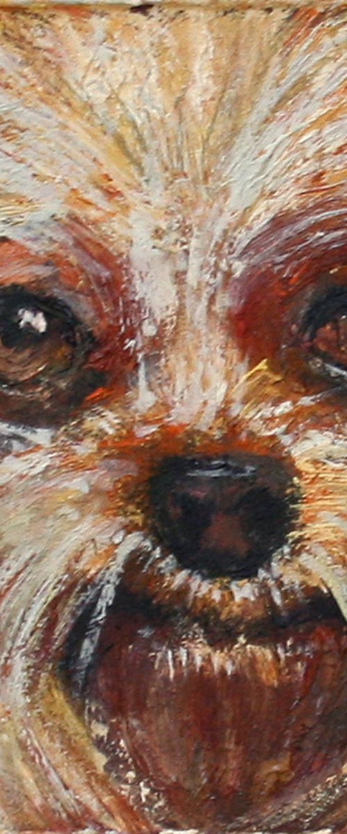 Dog 07.24 /4x4"  / FROM MY A SERIES OF MINI WORKS DOGS/ ORIGINAL PAINTING by Salana Art