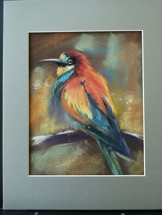 Bee Eater