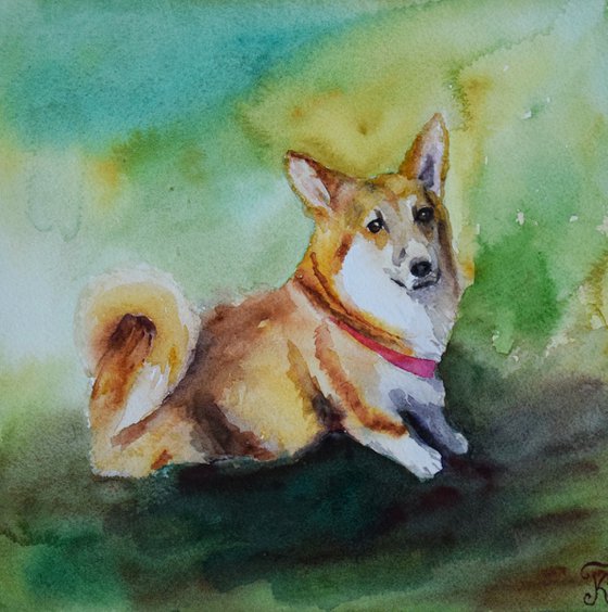 Corgi watercolor painting, dog portrait, animalistic wall art