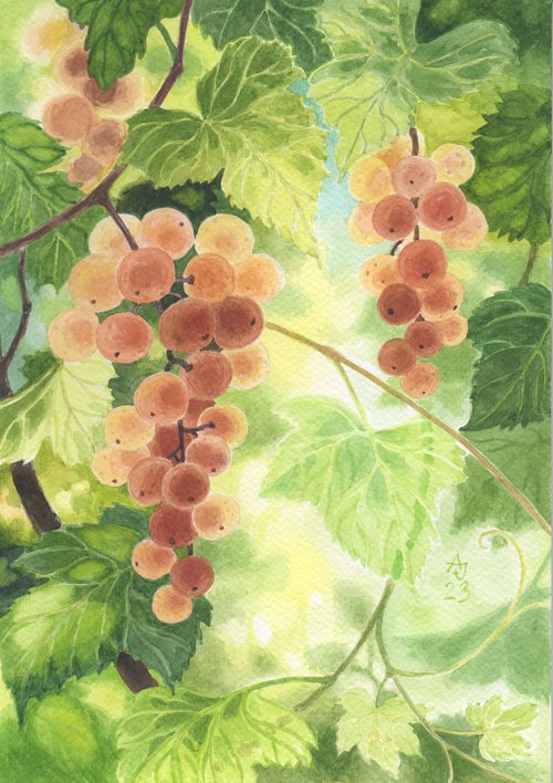 Fruits full of sun by Jolanta Czarnecka
