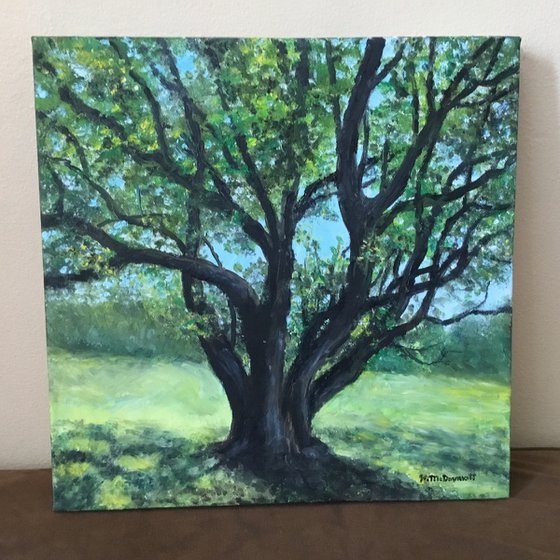 BOXELDER MAPLE IN MORNING SUN by K. McDermott (SOLD)