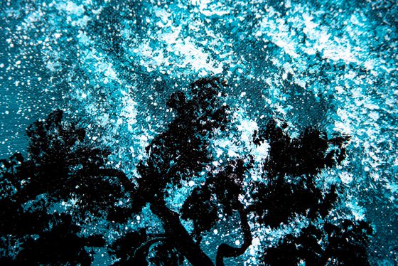Silent Japan night sky