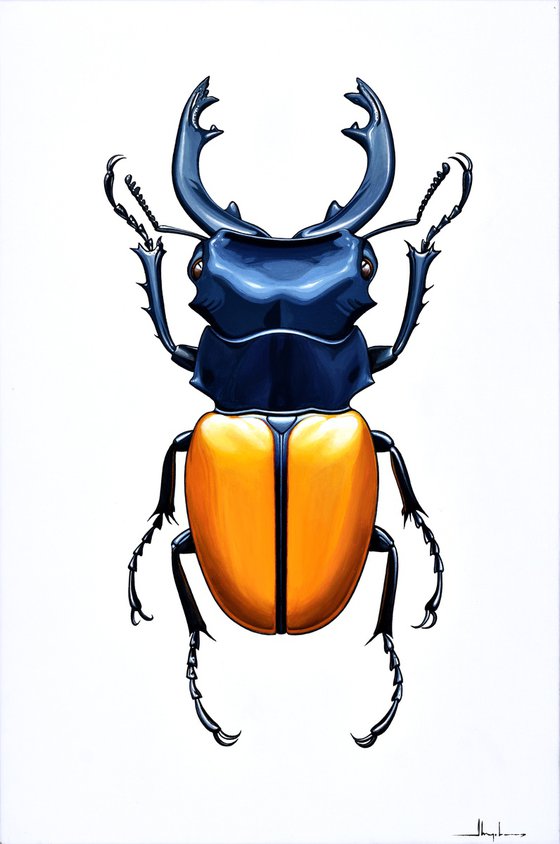 Stag Beetle #1
