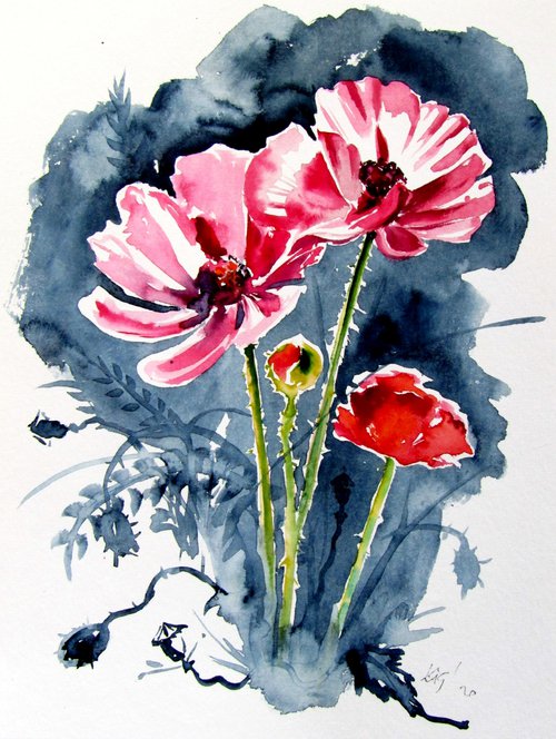 Some poppy flowers by Kovács Anna Brigitta