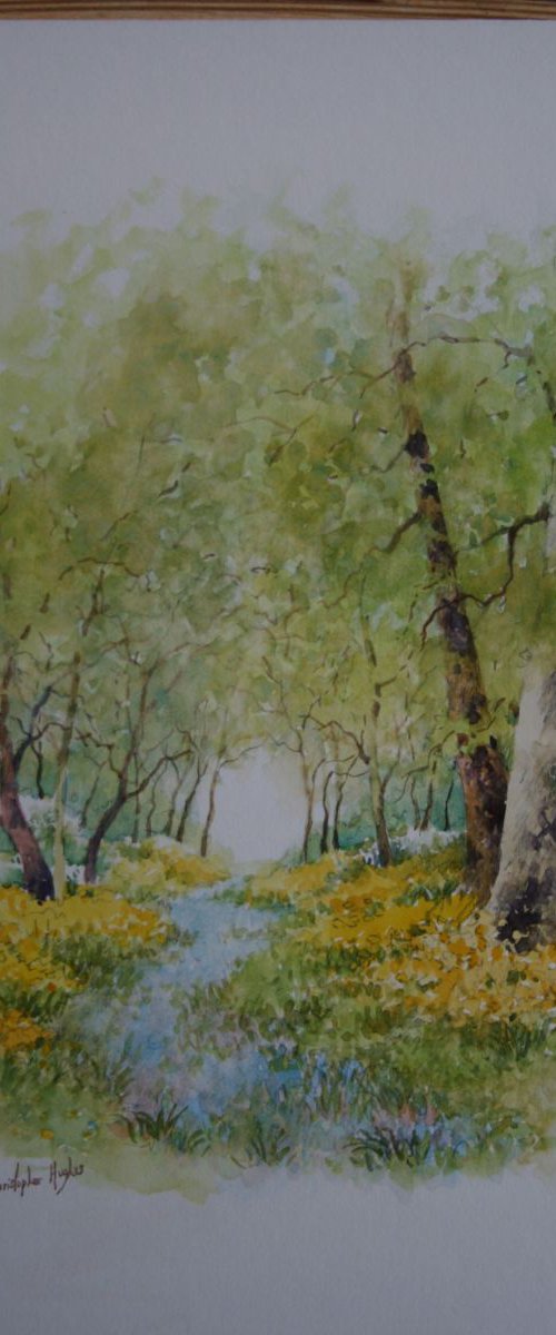 Bluebells and Daffodils by Christopher Hughes