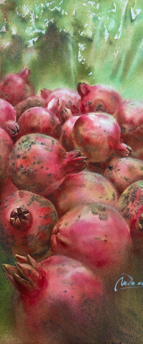 Ripe pomegranates by Lida Duchnewitsch