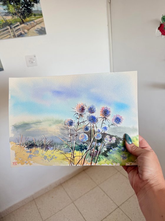 Thistles of Galilee