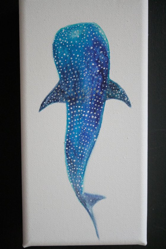 Whale Shark Acrylic Painting