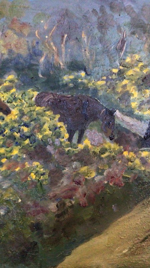 New forest ponies by Julian Lovegrove Art