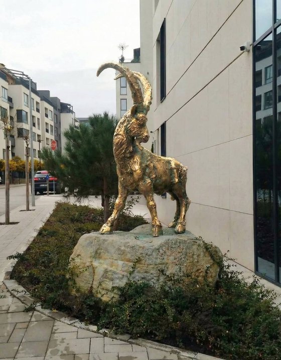 "Alpine Ibex"