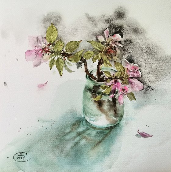 Apple blossoms