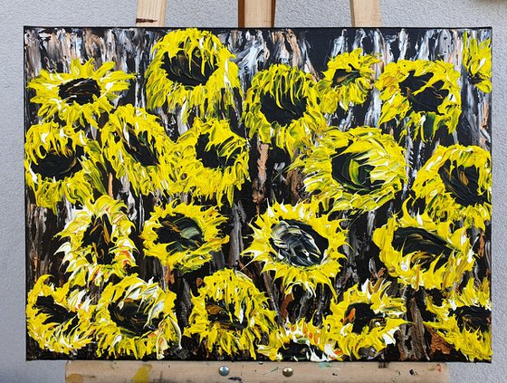 Sunflower field