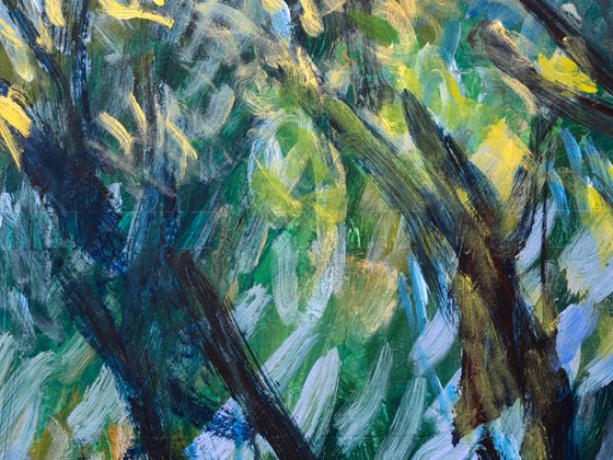 The Bluebell Forest
