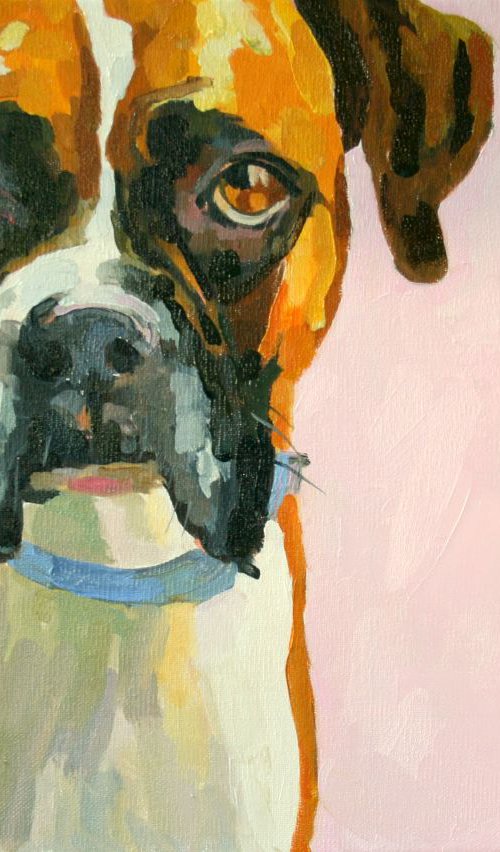 Trixie the Boxer by Katharine Rowe