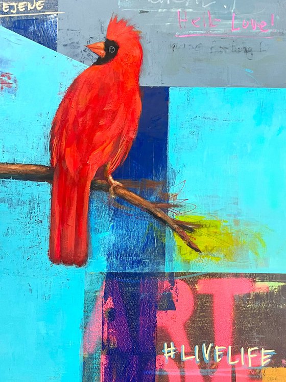 Cardinal