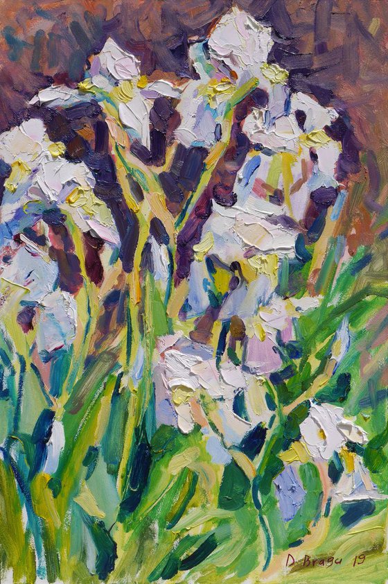 White irises (plein air 2019/05/15)