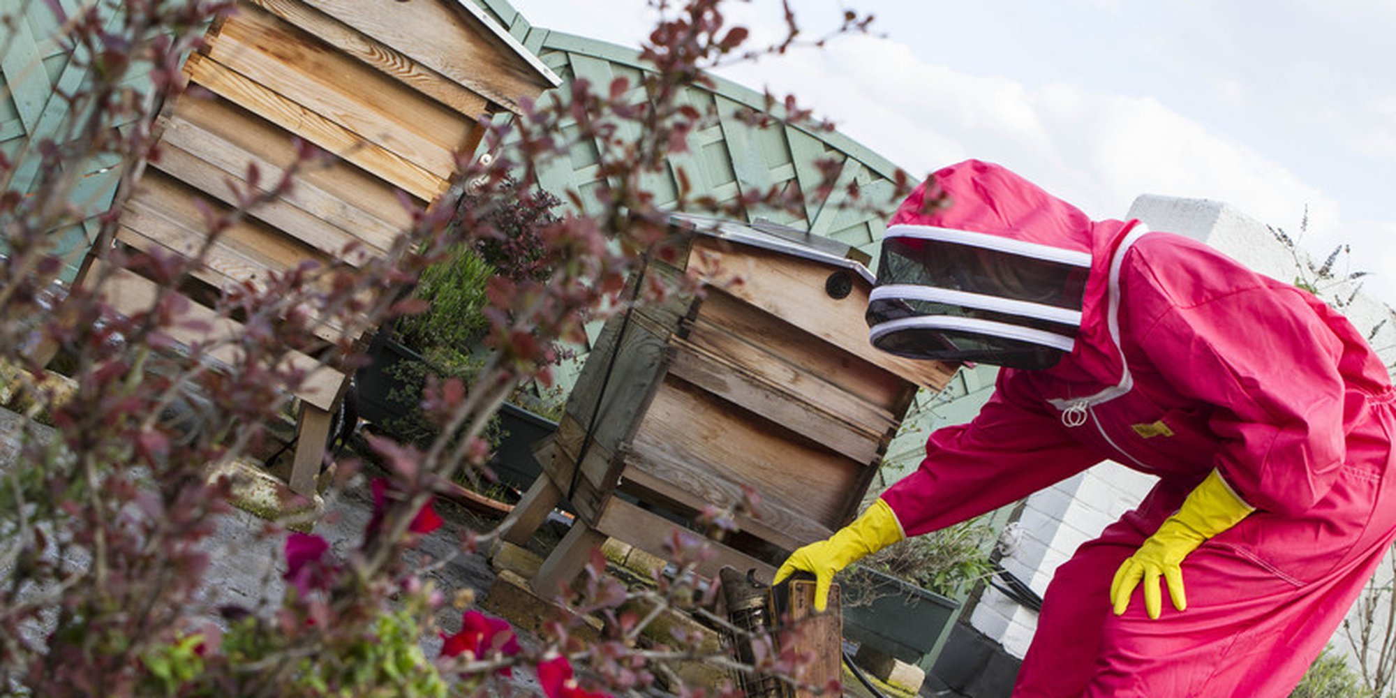 Jo Wood turns her hand to bee-keeping!