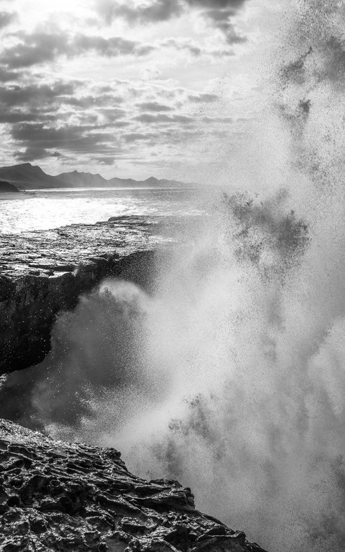 THE WILD COAST 2. by Andrew Lever
