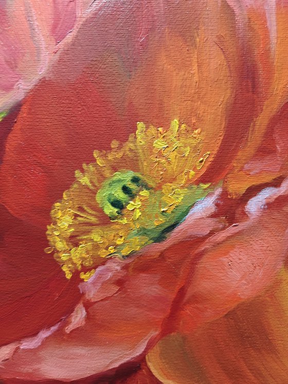 Poppies, Original oil painting