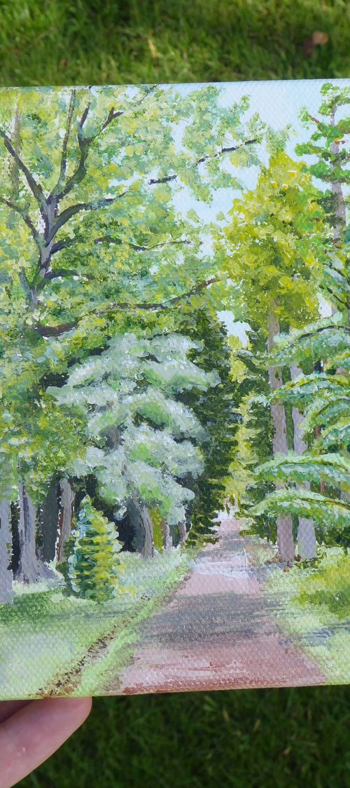 Blackwater, The New Forest by Jacqueline Talbot