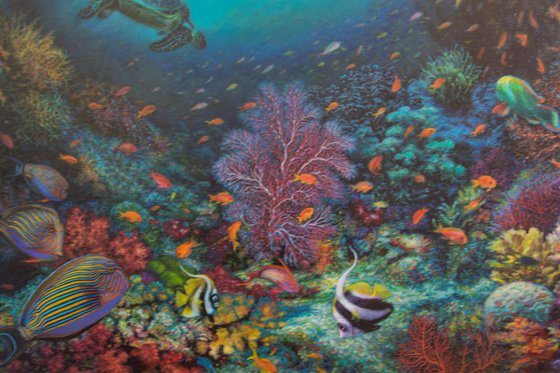 Coral Reef