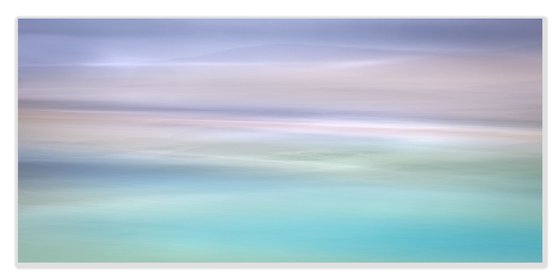 Large Panoramic Abstract - Sea Thrift