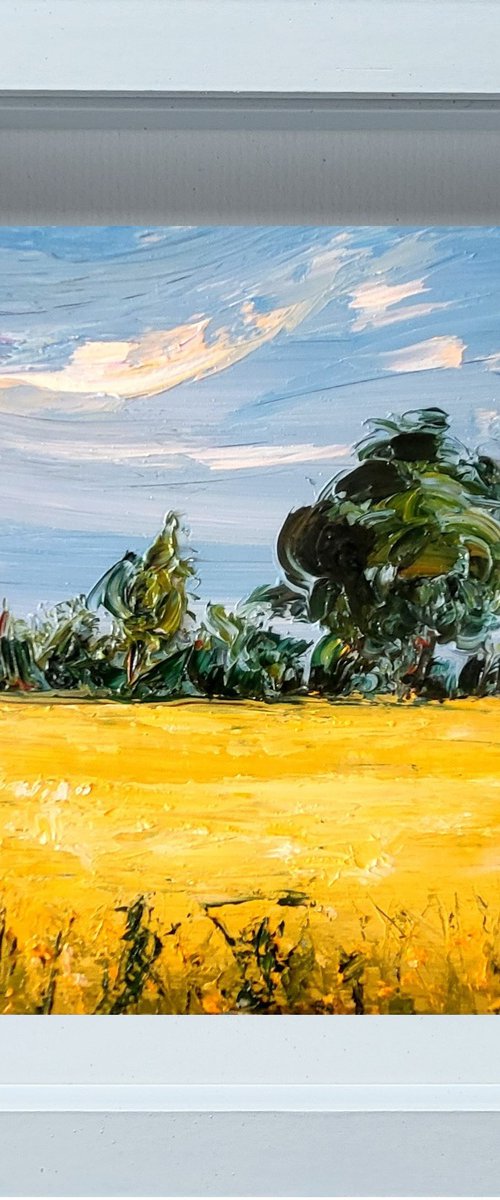 Golden fields of Summer by Niki Purcell