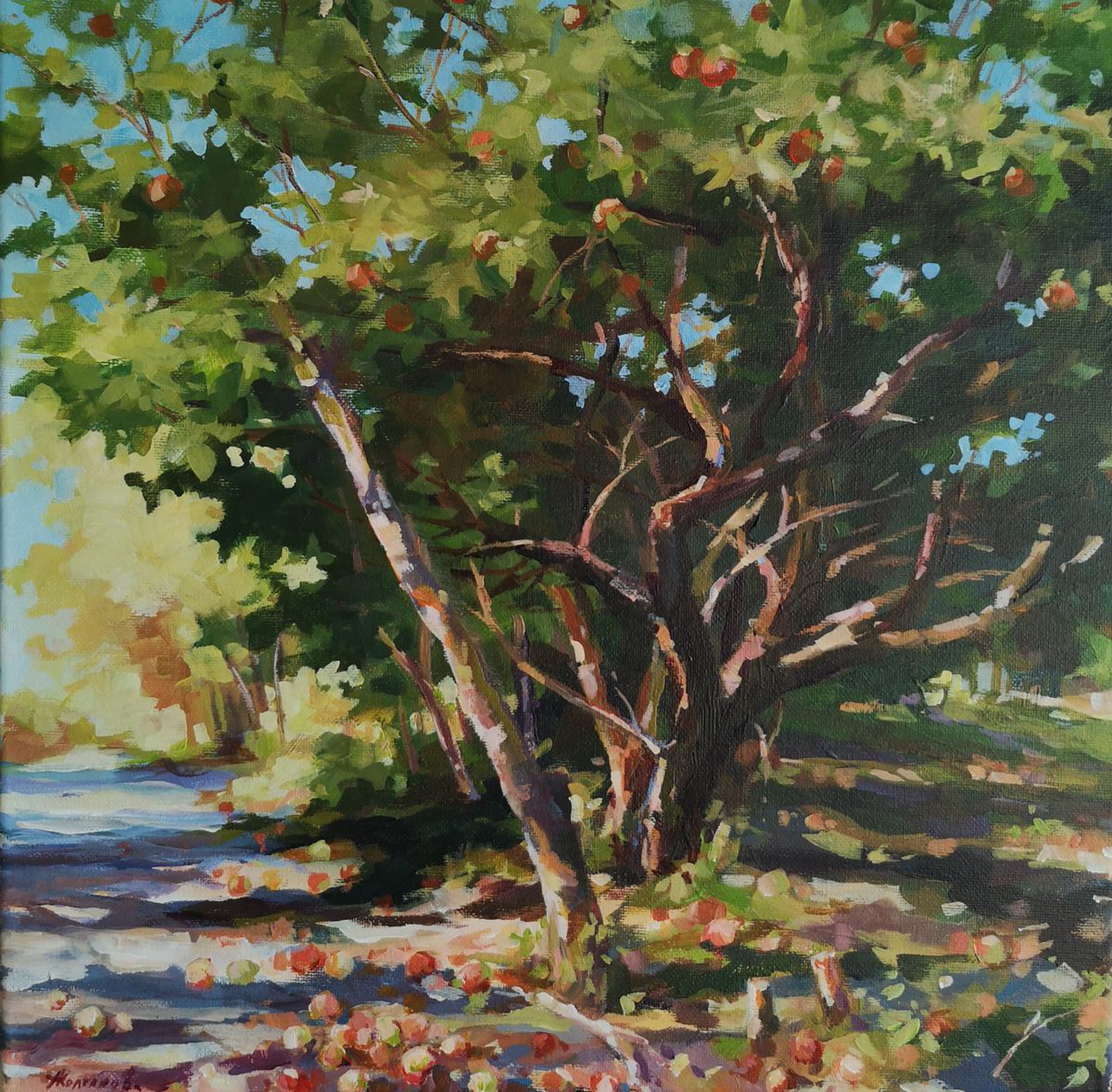 Old Apple Tree 14x14x0 7 Artfinder