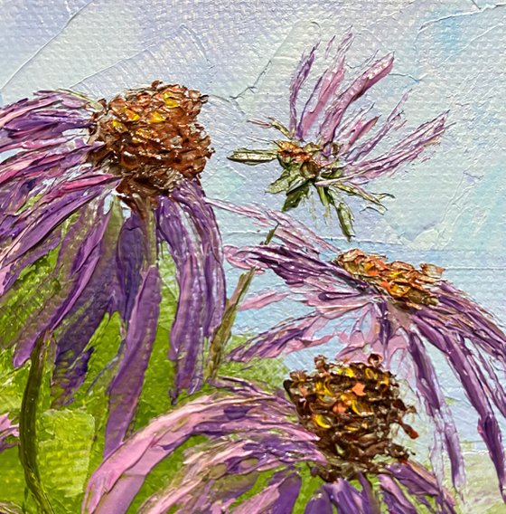 Coneflowers