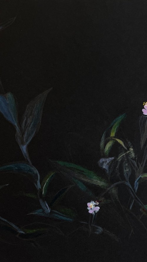 Three Wishes by Maxence Ma