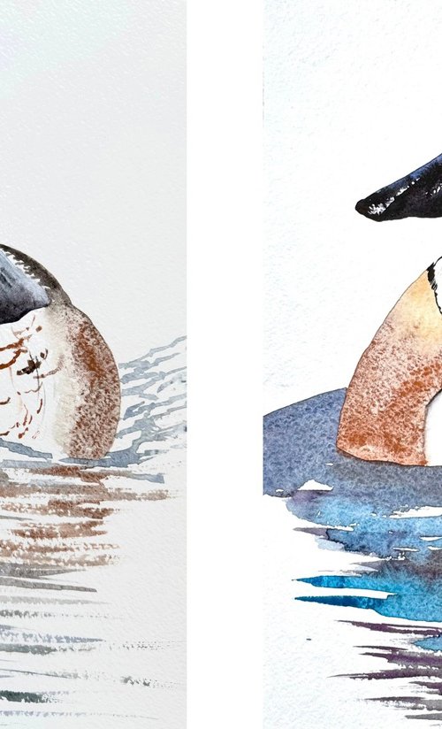Diptych 2 Wild drakes Mallard by Yuliia Sharapova