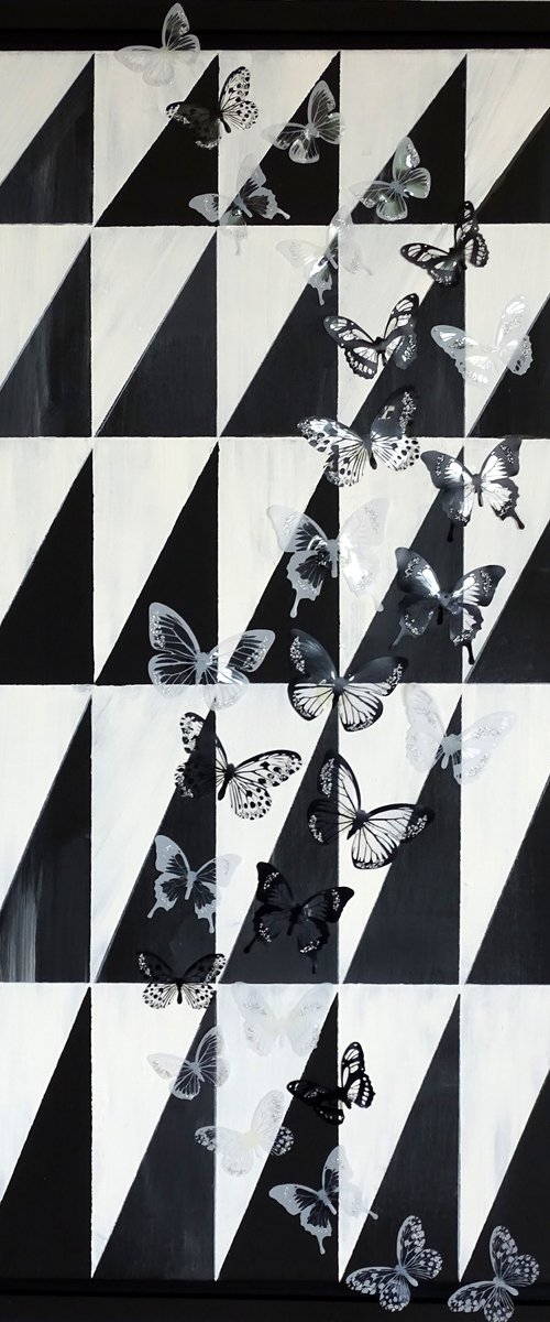 Just black and white butterflies (framed art) by Conrad  Bloemers