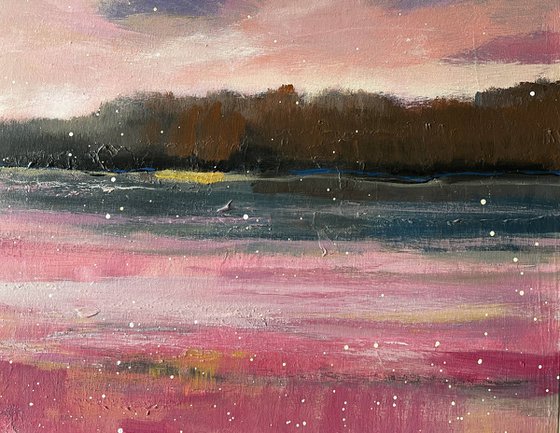 In the Embrace of the Pink Lake