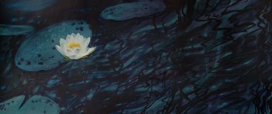 Nocturne for a Water Lily