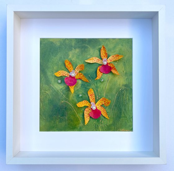 Orchid Reverie-1